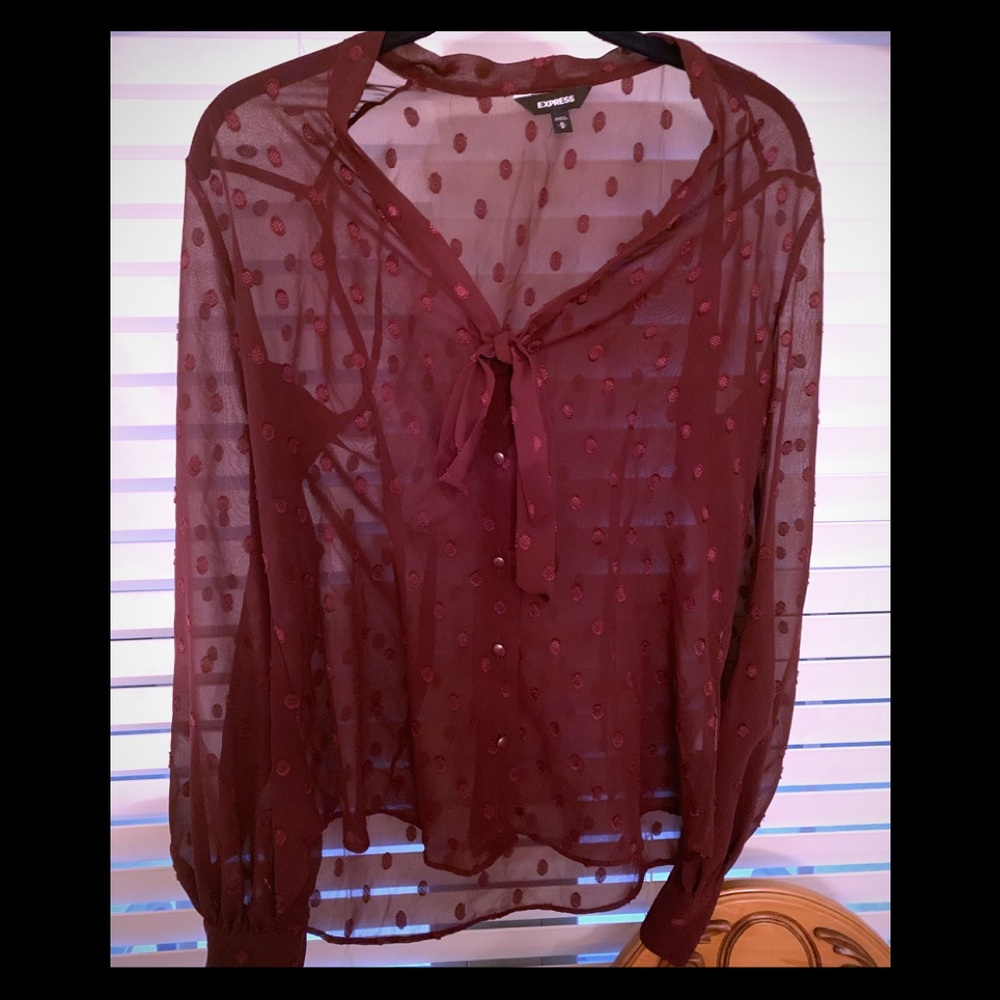 Express size medium sheer top
